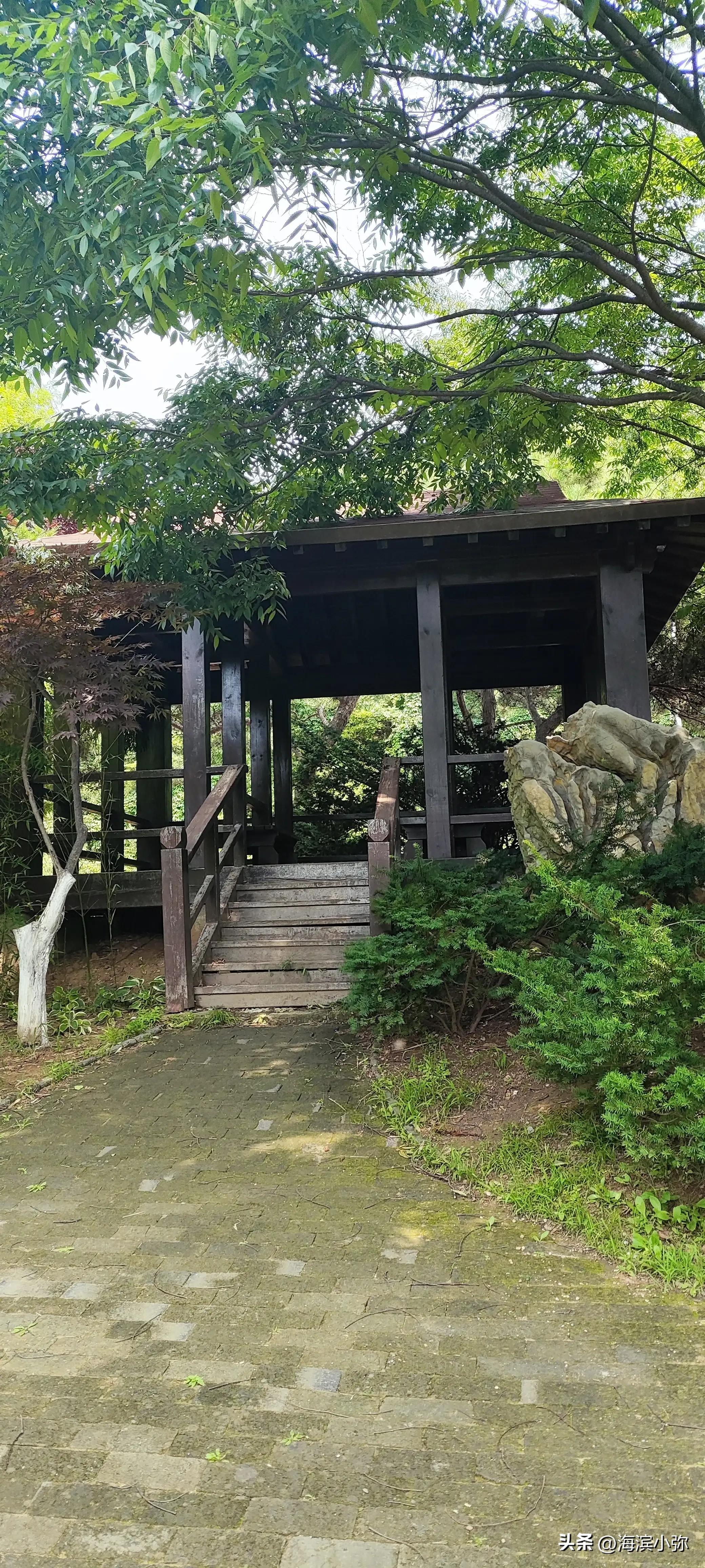 海滨徒步路线感受,滨海路徒步视频