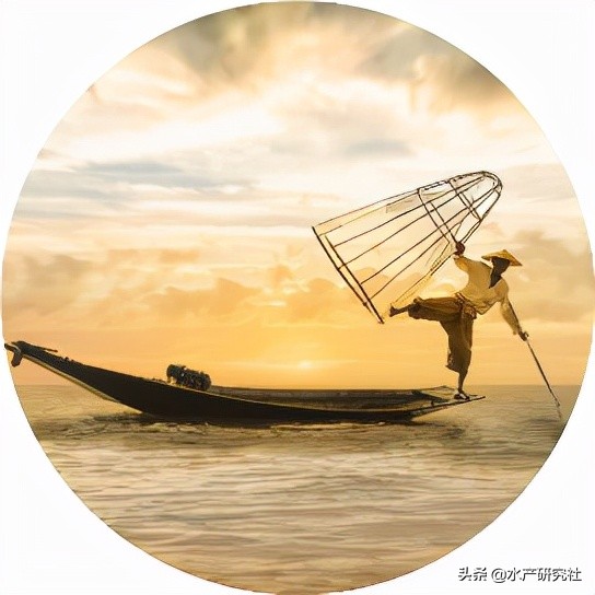 微孢子虫、肝胰腺坏死、白便综合征等疾病预防及治疗方法有哪些？