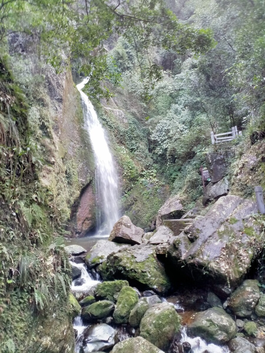 郭进拴神奇的土地,郭进拴作品大全