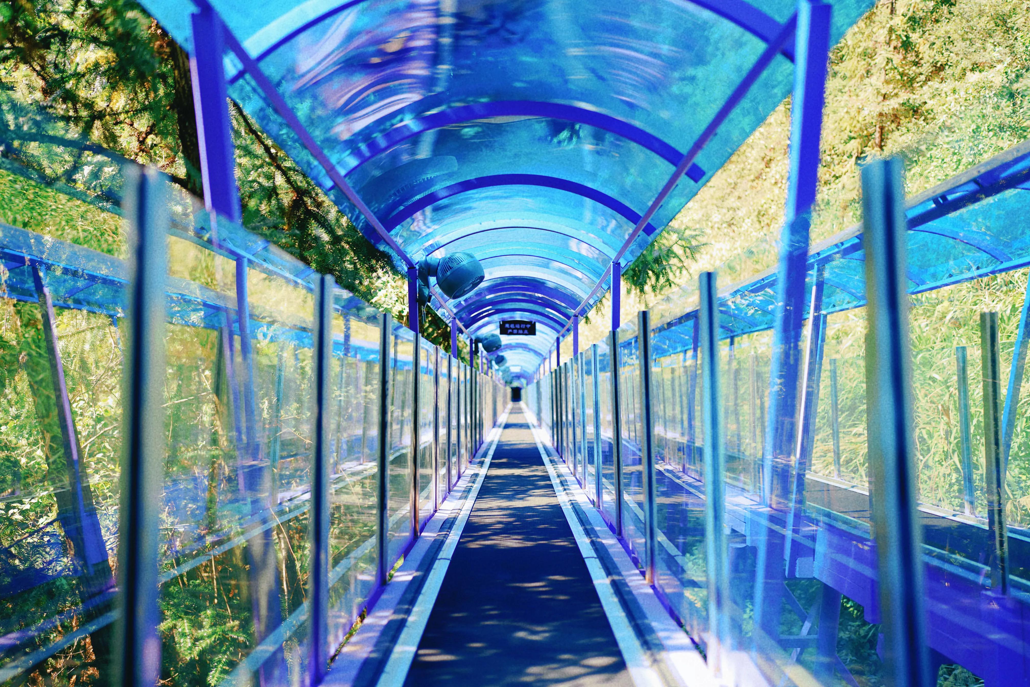 江浙沪游山玩水景点推荐大全,江浙沪夏日旅游好去处