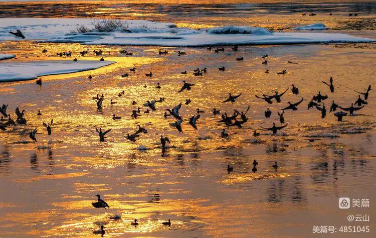 画意风光,画意风光摄影