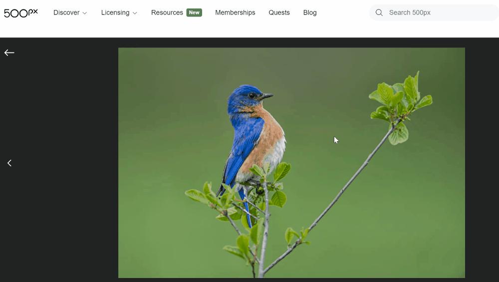 火狐浏览器必备插件,seo浏览器必备插件