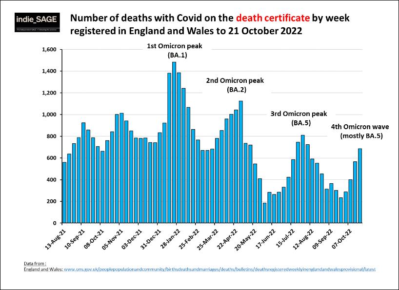 从流感病毒看新冠病毒的未来,流感及新冠病毒科普