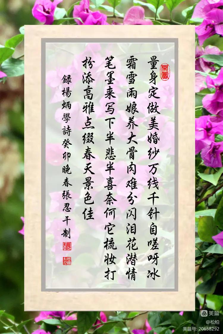 【松柏】（十四）潜情三角梅