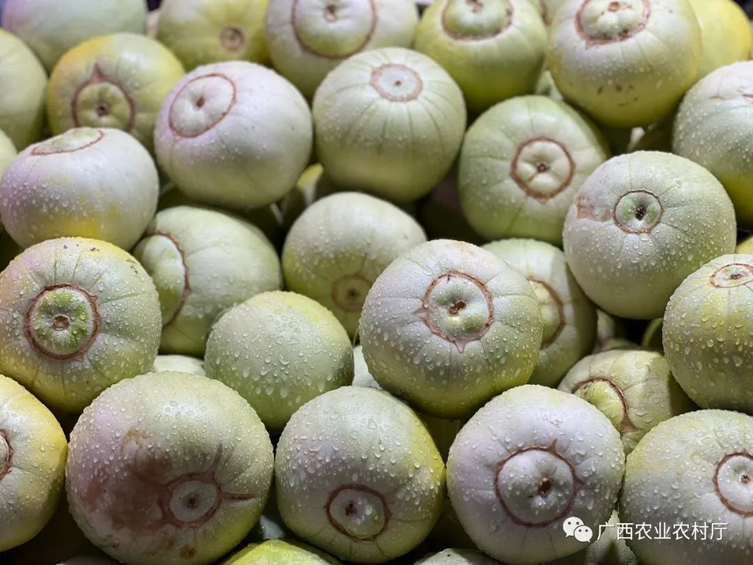 夏季有哪些水果上市?按这个吃准没错!