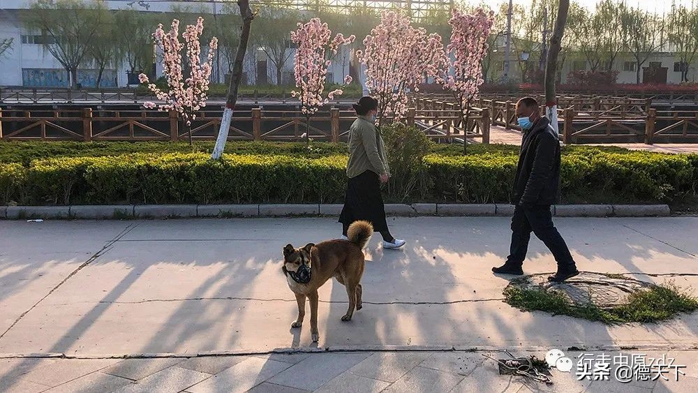 关于照相机的科普,关于照相机的动画