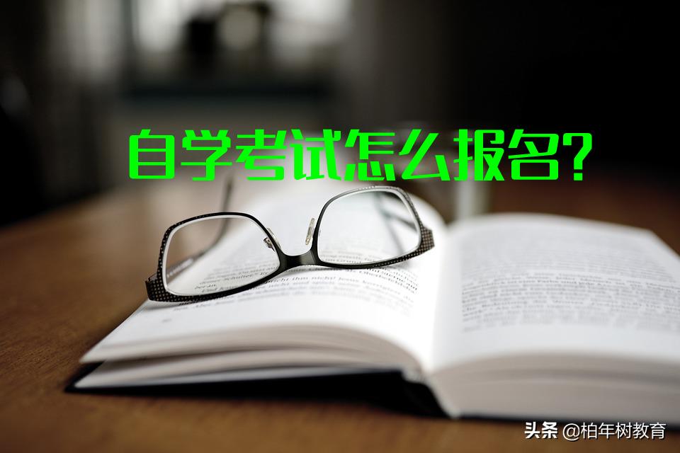 柏年树教育：自学考试怎么报名，有什么要求？