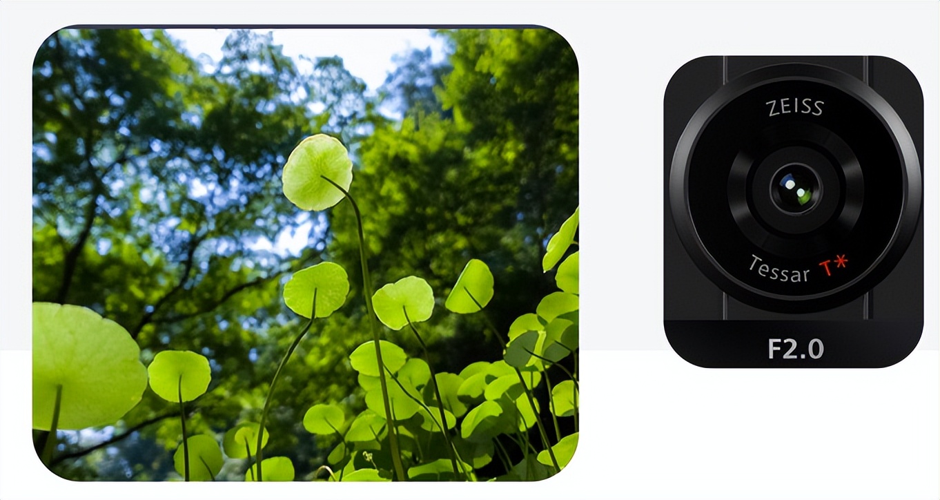 索尼“心比天高”，12GB+512GB保持在8999价位，买得起的人很少