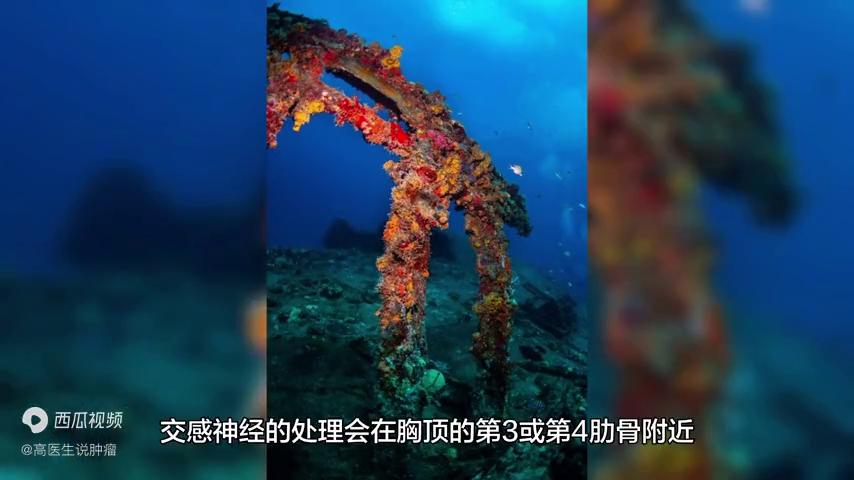 欧洲为什么禁止手汗症手术,手汗症怎么做手术