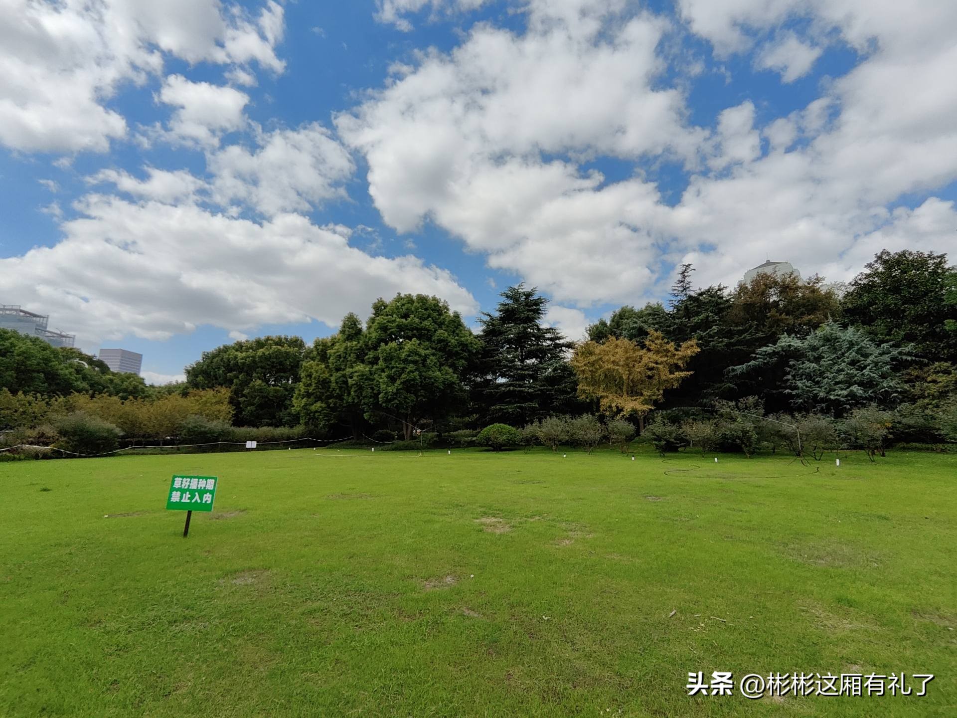 一加acepro与苹果13哪个反应快,一加acepro和苹果13