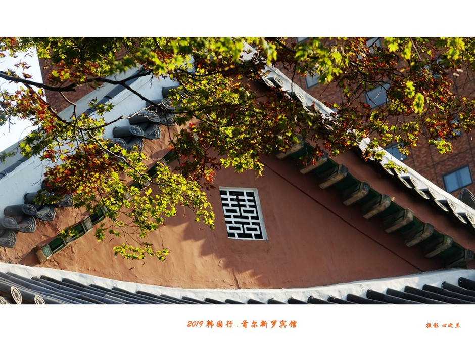 韩国旅游首尔探店攻略,韩国游记首尔宫