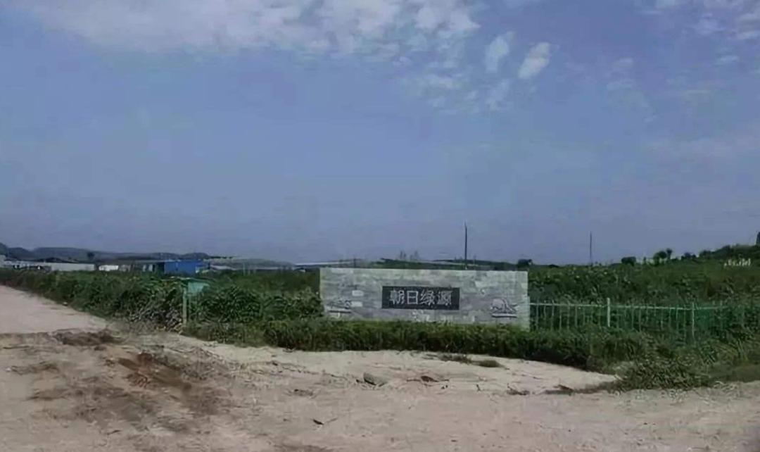 鏃ユ湰涓轰粈涔堝湪灞变笢绉熷湴,鏃ユ湰涓轰粈涔堝湪涓浗绉熷湴