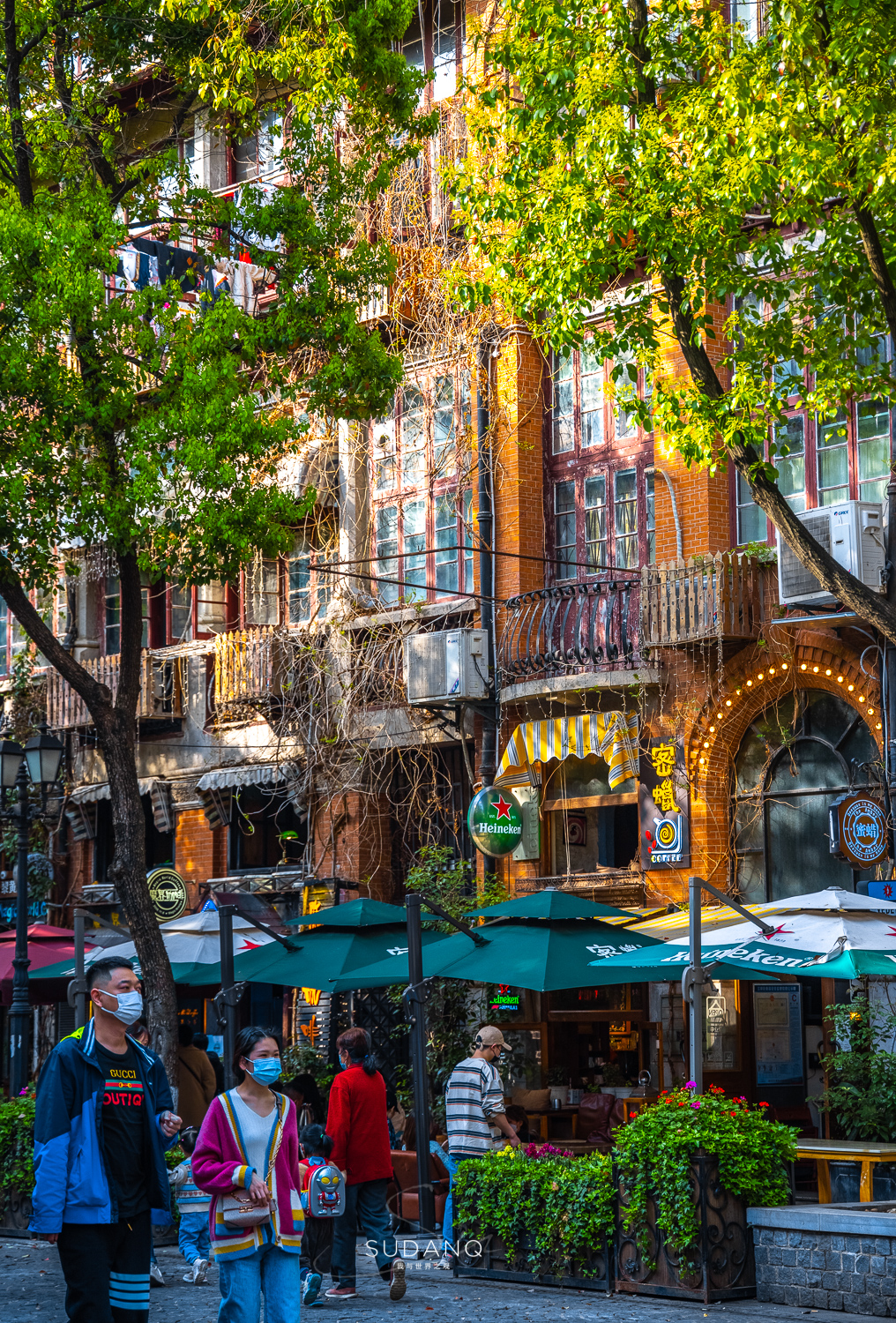 国外俩兄弟买了一栋别墅,武汉100年老房子带院子出售