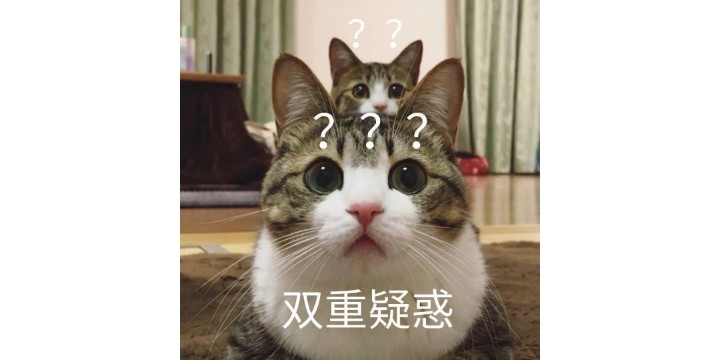 尊嘟假嘟的英语,尊嘟假嘟日语怎么说