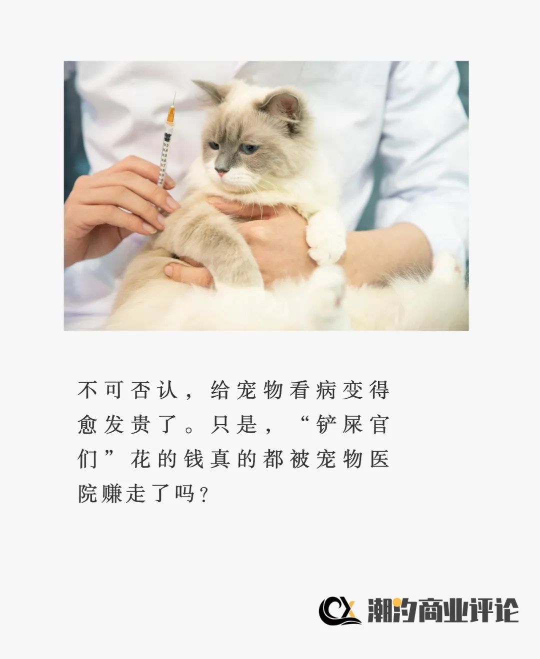 宠物医院赚钱多吗,宠物医院赚多少钱