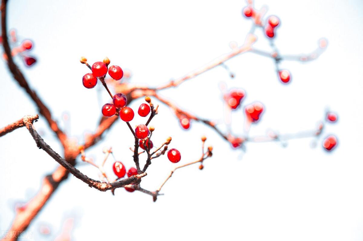 爱生气是肝血不足吗,脾气虚肝血不足怎么办