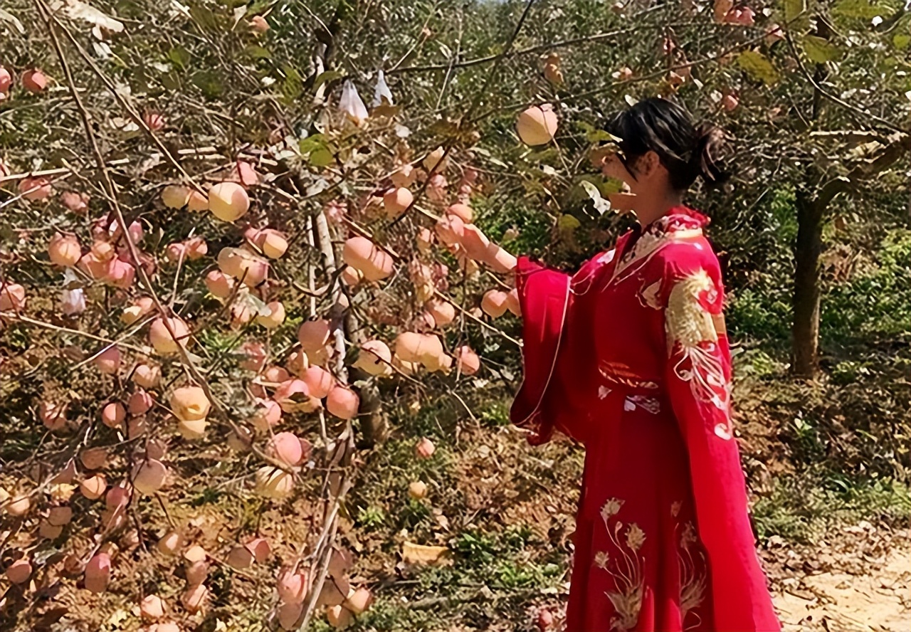 古代苹果名字有哪些,古人的苹果叫什么名字