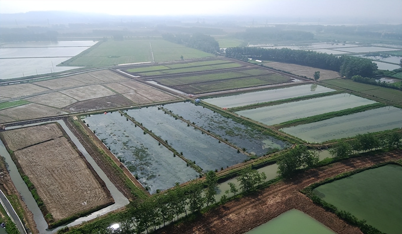 男子做农业十多年达4000亩，曾遇瓶颈险停滞，亏得农担“送”钱来