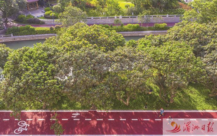 莆田市创建文明城市工作,文明莆田市