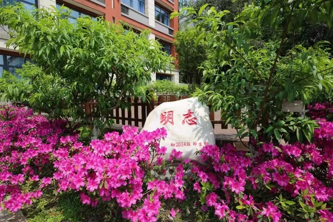 成都市金牛区成都七中八一学校,成都金牛区七中八一高中