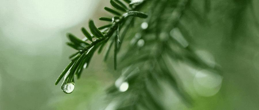 格力电器最新融资分析,格力电器为什么要融资200亿