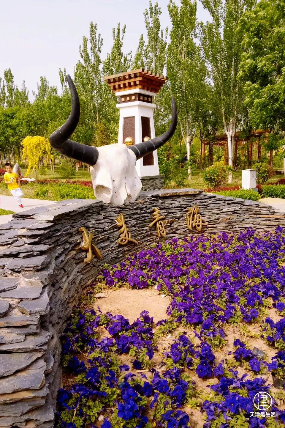 阳性+6例！蓟州这些场所开放！但为嘛我劝你，周末一定去趟武清区