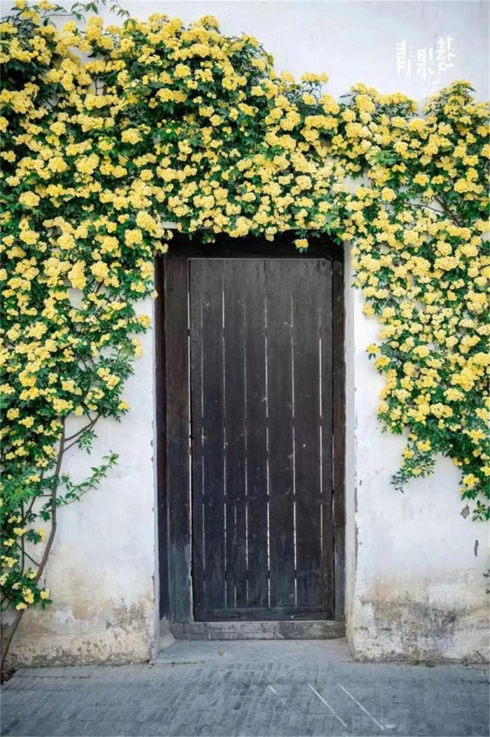 五一的常州,常州的五一