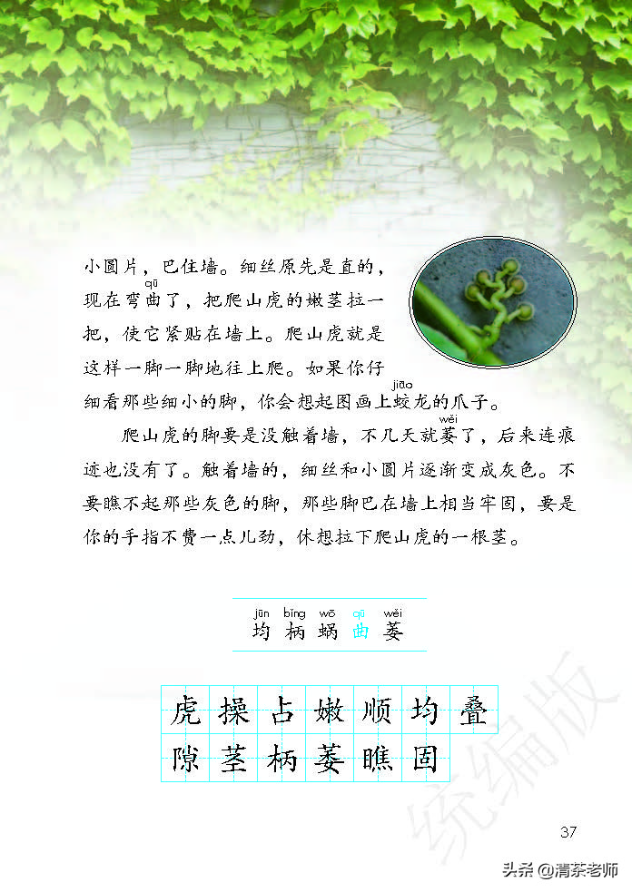 人教四年级上册语文电子课本,人教语文四年级上册电子课本