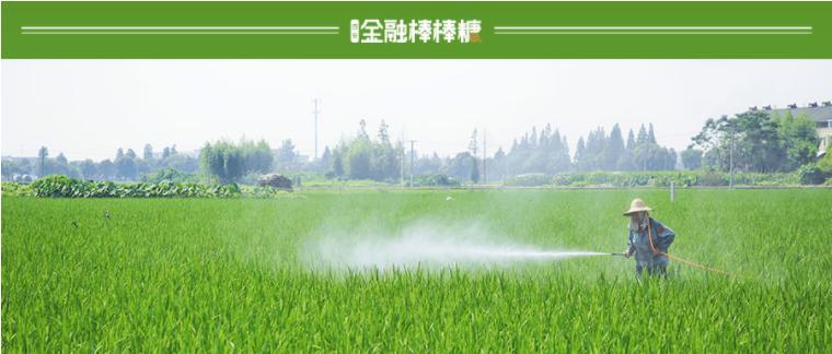 鍐滃績浣滅墿绉戞妧鑲′唤鏈夐檺鍏徃涓婂競,鍐滃績绉戞妧2023涓姤