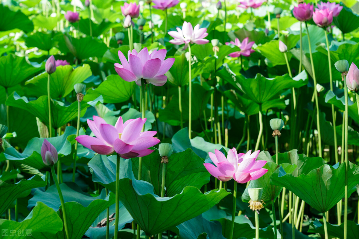 离开故乡感慨的诗词金句,离别故乡的诗句和优美句子