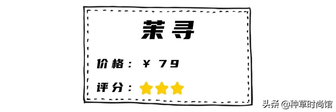 全网爆火的6条加绒黑丝测评，帮你避雷