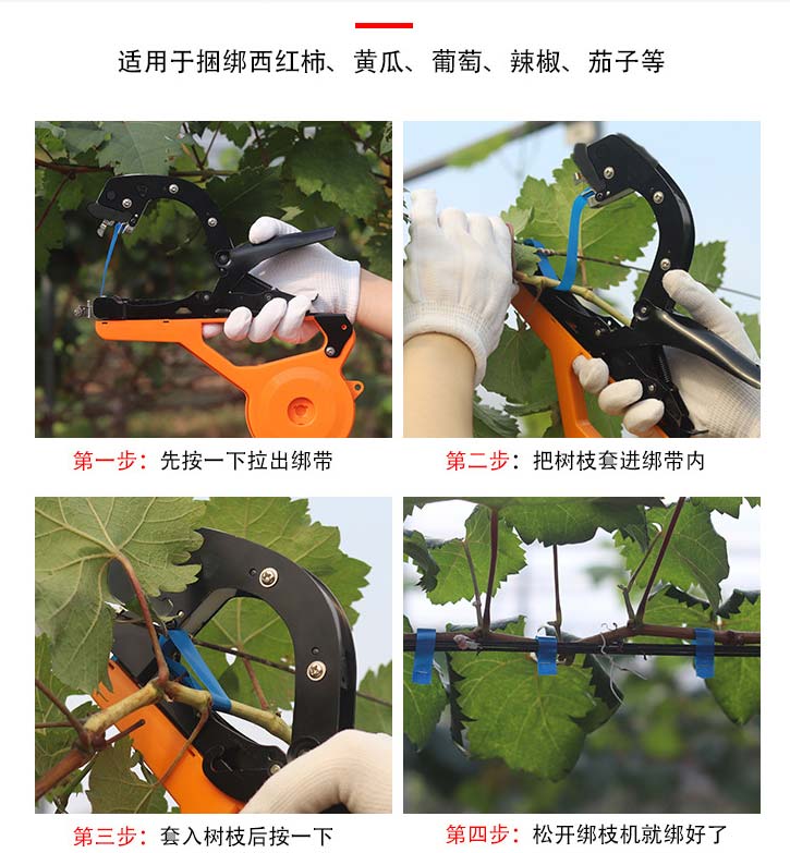 西红柿绑藤器,西红柿怎么搭架绑蔓