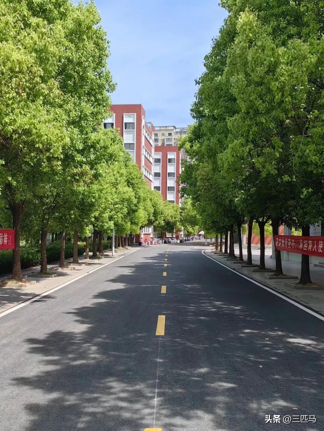 沭阳高中开始收费了吗,沭阳修远高中2021收费标准