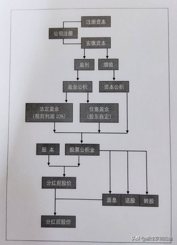 为什么股票分红后股本会减少,股票分红股价下跌到底怎么赚钱