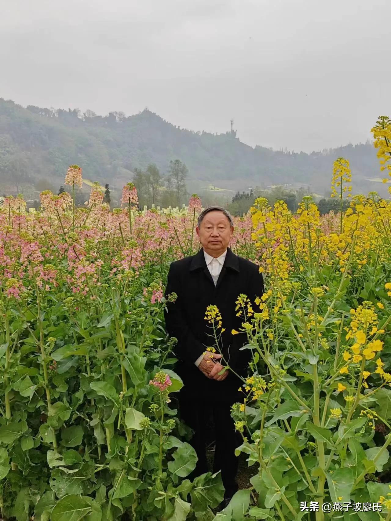 心情舒畅文章,让你心情舒畅的美文