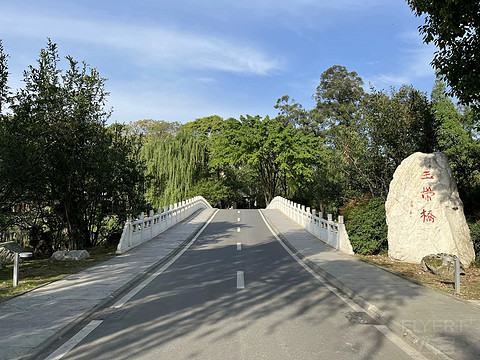 鍒濆涔嬫梾榛勯噾娴峰哺,鍒濆涔嬫梾