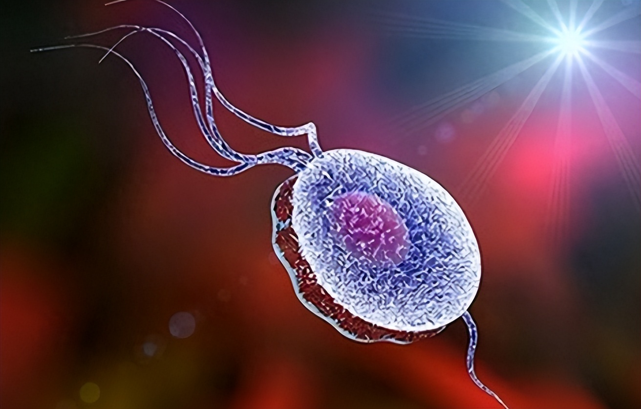 一瓶“甲硝唑”几块钱，却能用于治疗4种疾病，真是实惠又好用