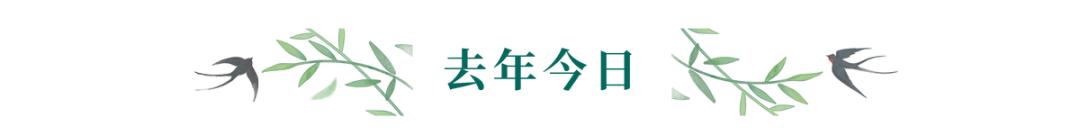 没十年工龄背不出这通勤包|冷段子2520去年今日2162