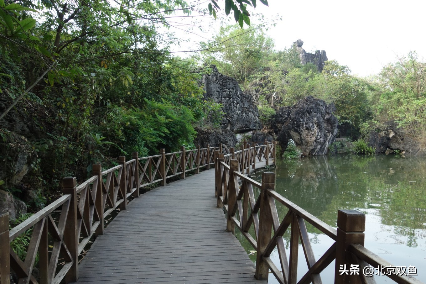 贵州黄果树最美的地方,贵州黄果树旅游攻略自由行