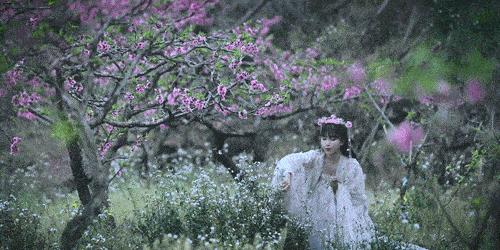 李子柒怎么会有那么大的院子,李子柒隐居山林度过惬意时光