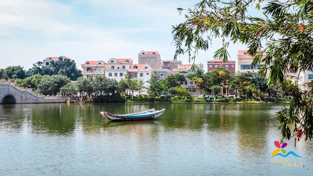 香港新晋的明星,现身厦门的香港明星