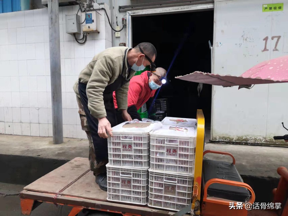 @绵阳市民,过春节不用愁,菜篮子、果盘子满满的