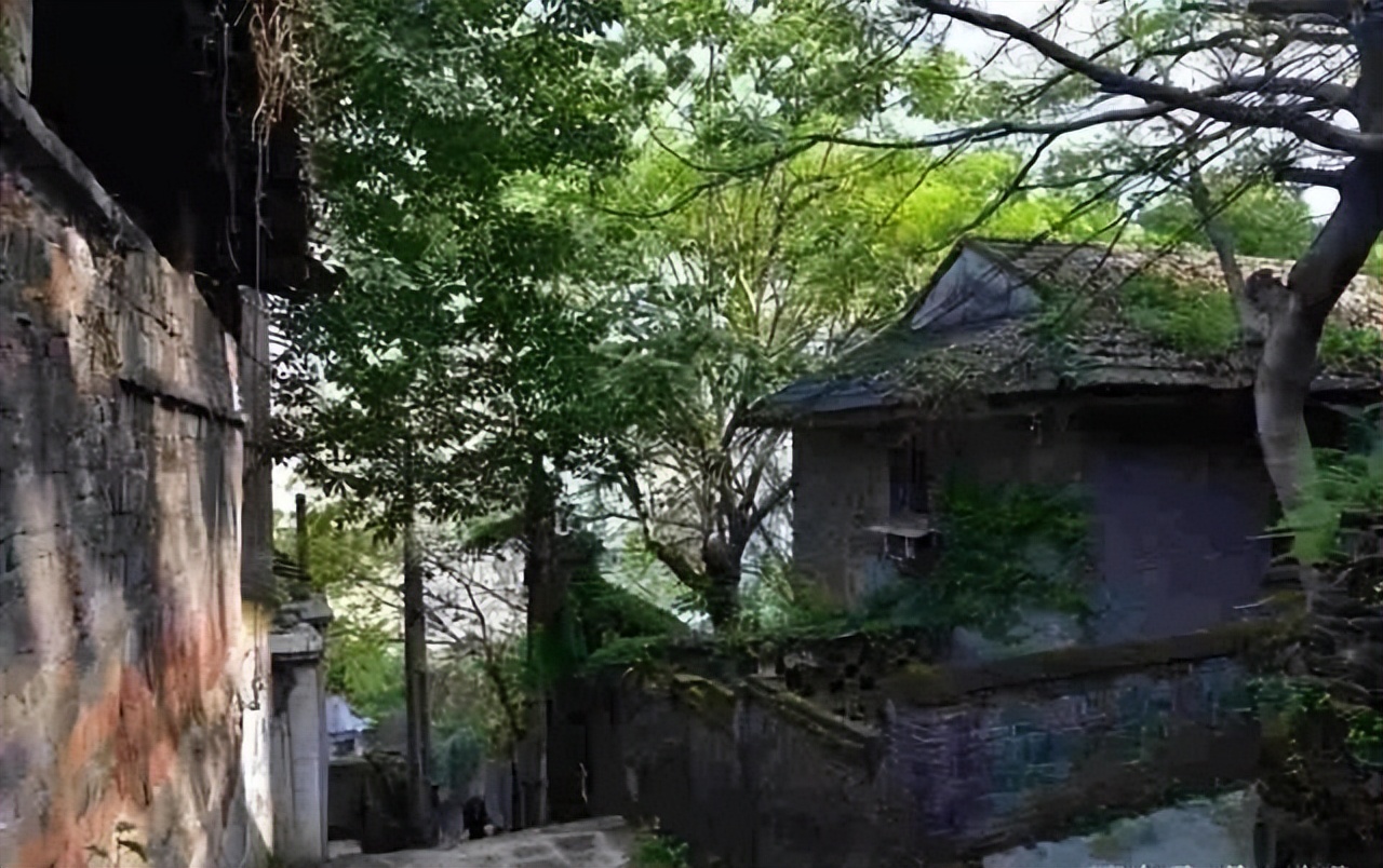 重庆主城小众打卡地,重庆周边小众自驾旅游