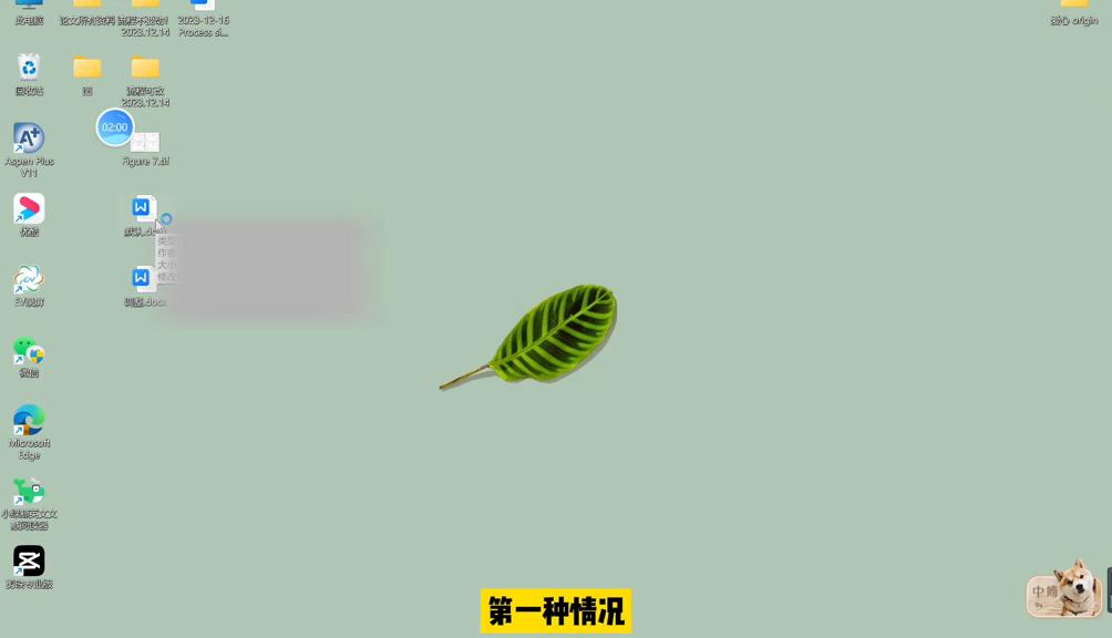 word中插入图片不显示怎么解决,word中插入图片显示不全怎么调整