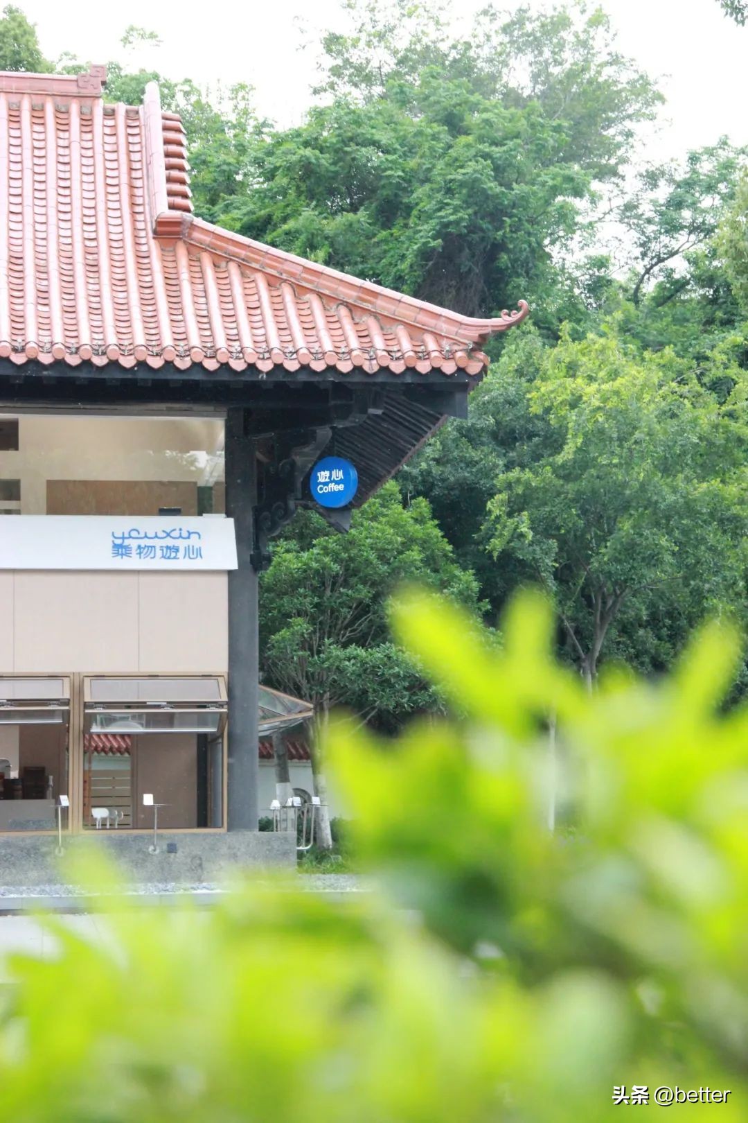 武汉洪山区推荐的咖啡馆,武汉东湖风景好的咖啡馆