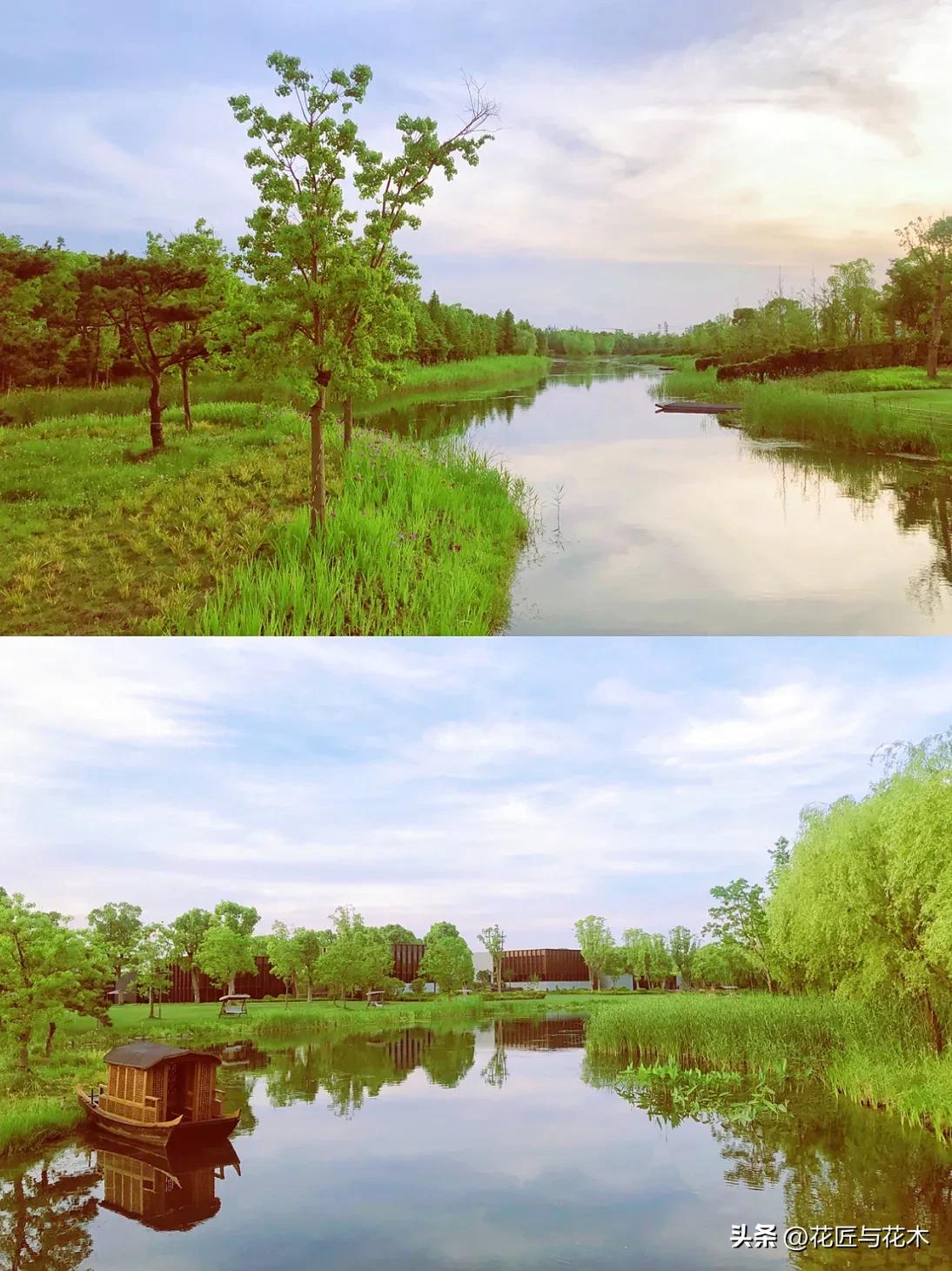 养云安缦上海云乡星愿,养云安缦·发现之旅·奔赴春天