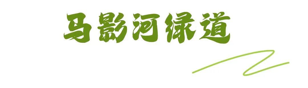散步、慢跑、骑行……快来打卡车谷这些“高颜值”绿道