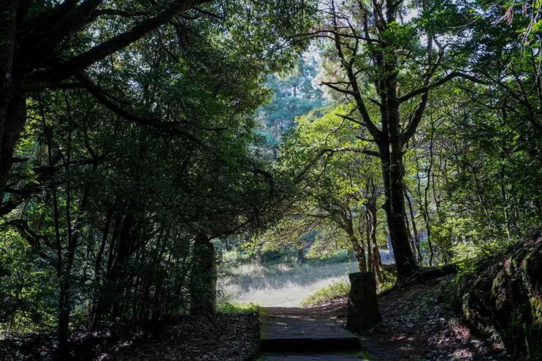 楚雄旅游景点攻略元谋土林,云南旅游楚雄景点必玩的地方