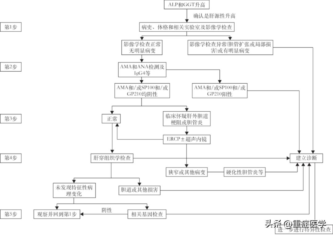 谷丙转氨酶谷草转氨酶,谷草转氨酶谷丙转氨酶转肽酶都高
