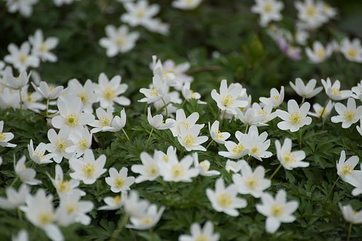 明天自有明天的忧愁,把明天的烦恼交给明天